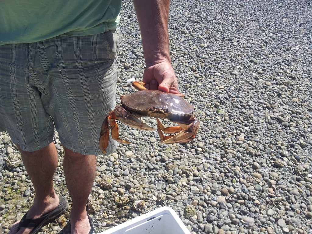 Kayaking, crabbing and correcting: my Hero’s Journey?