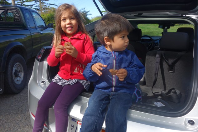 A very useful Chevy Volt hatch