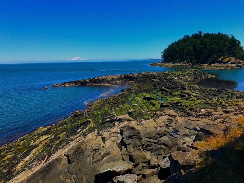 2017-06-24 13.41.34 copy