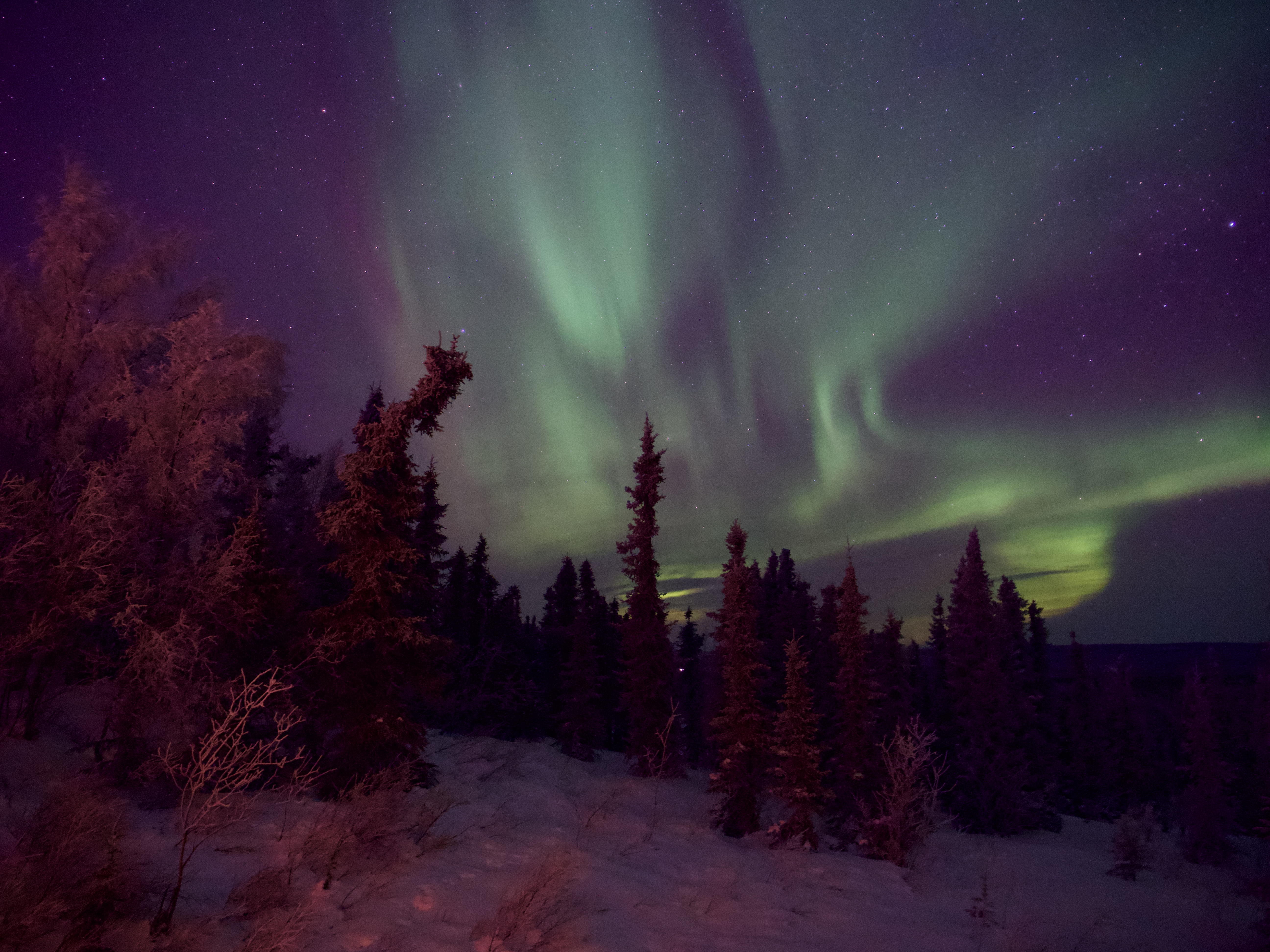 Take the time to get it right: capturing aurora borealis